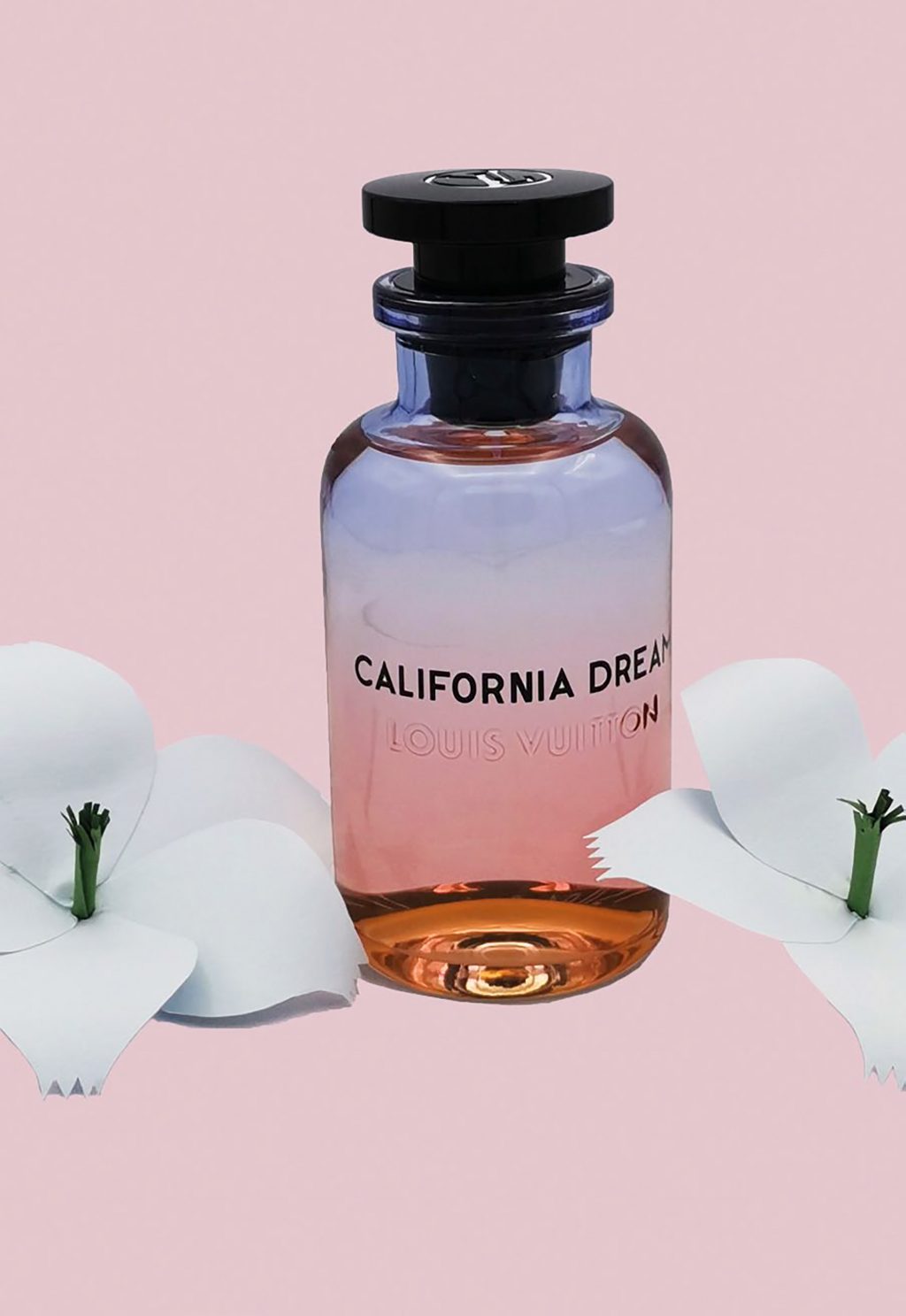 nước hoa lv california dream