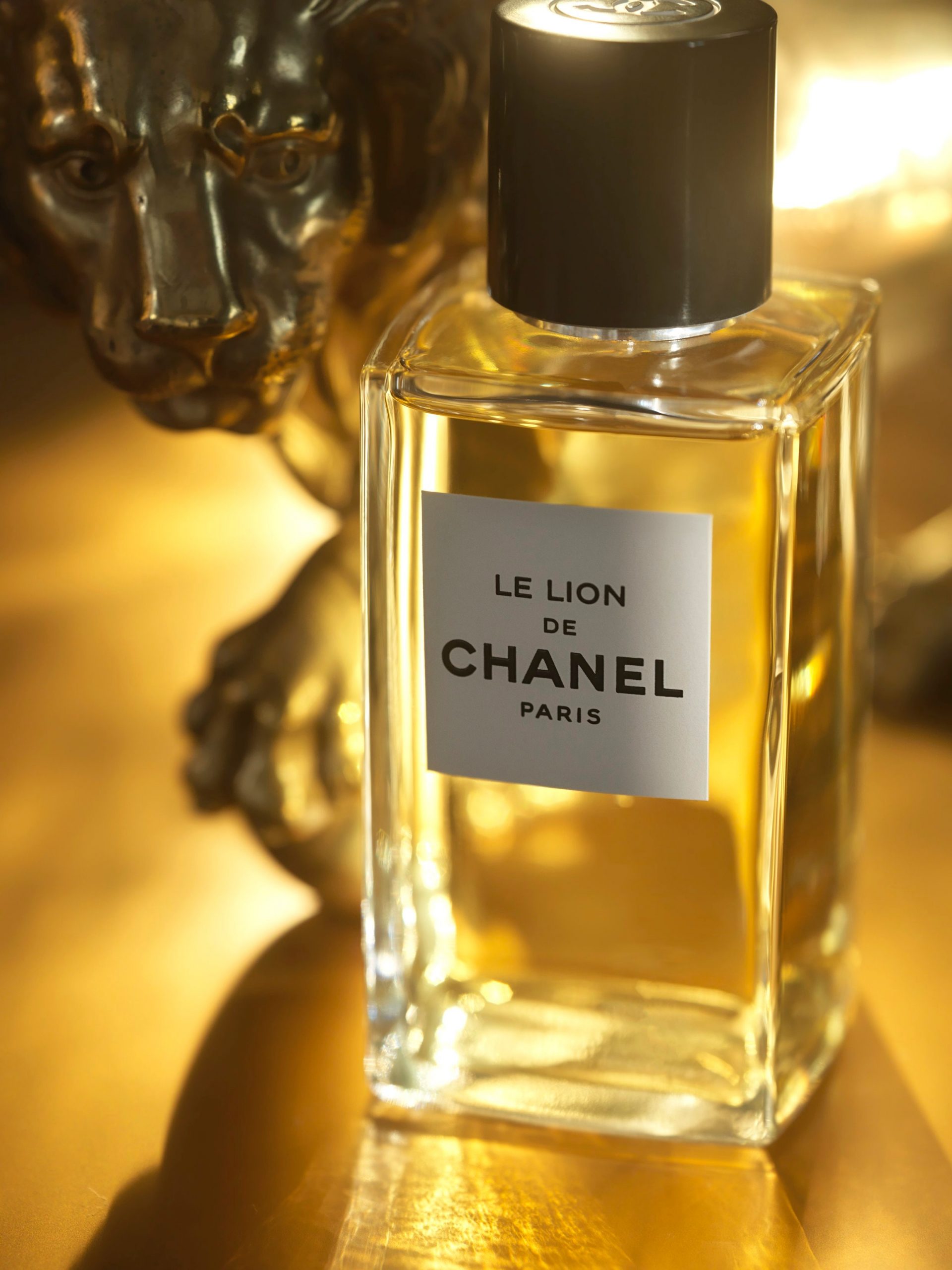 Nước hoa Chanel Le Lion ngày của Mẹ