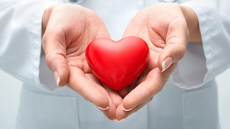 Collagen tươi có thể hỗ trợ ngăn ngừa bệnh tim mạch và các triệu chứng khác