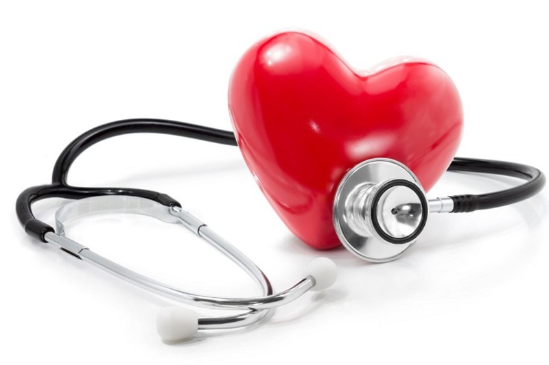Hạt dẻ có tác dụng bảo vệ sức khỏe tim mạch 