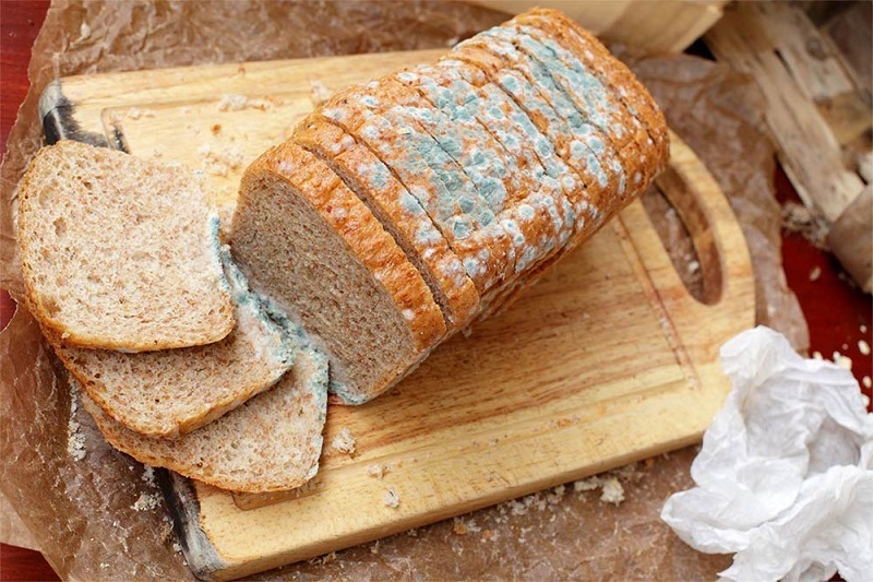 Bánh mì bị nấm mốc cần ngưng sử dụng