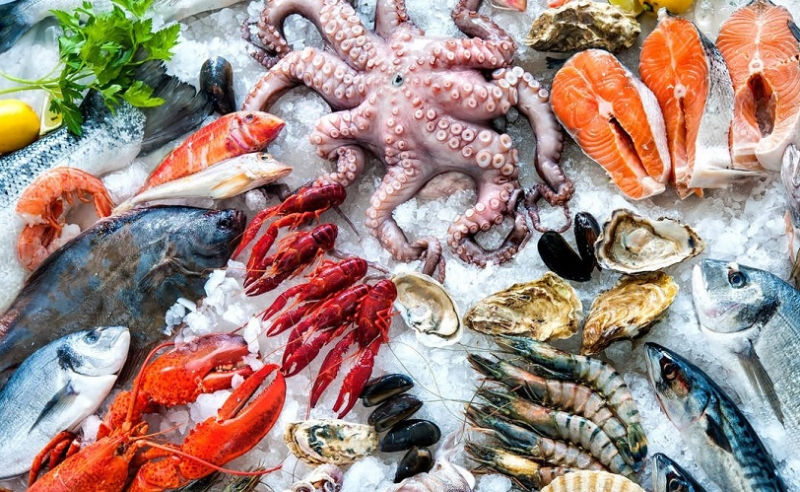 Hải sản tươi sống dễ làm môi bị nhiễm khuẩn